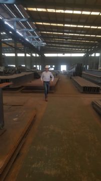 點(diǎn)擊查看詳細(xì)信息<br>標(biāo)題：鋼結(jié)構(gòu)--外籍友人參觀1 閱讀次數(shù)：3176